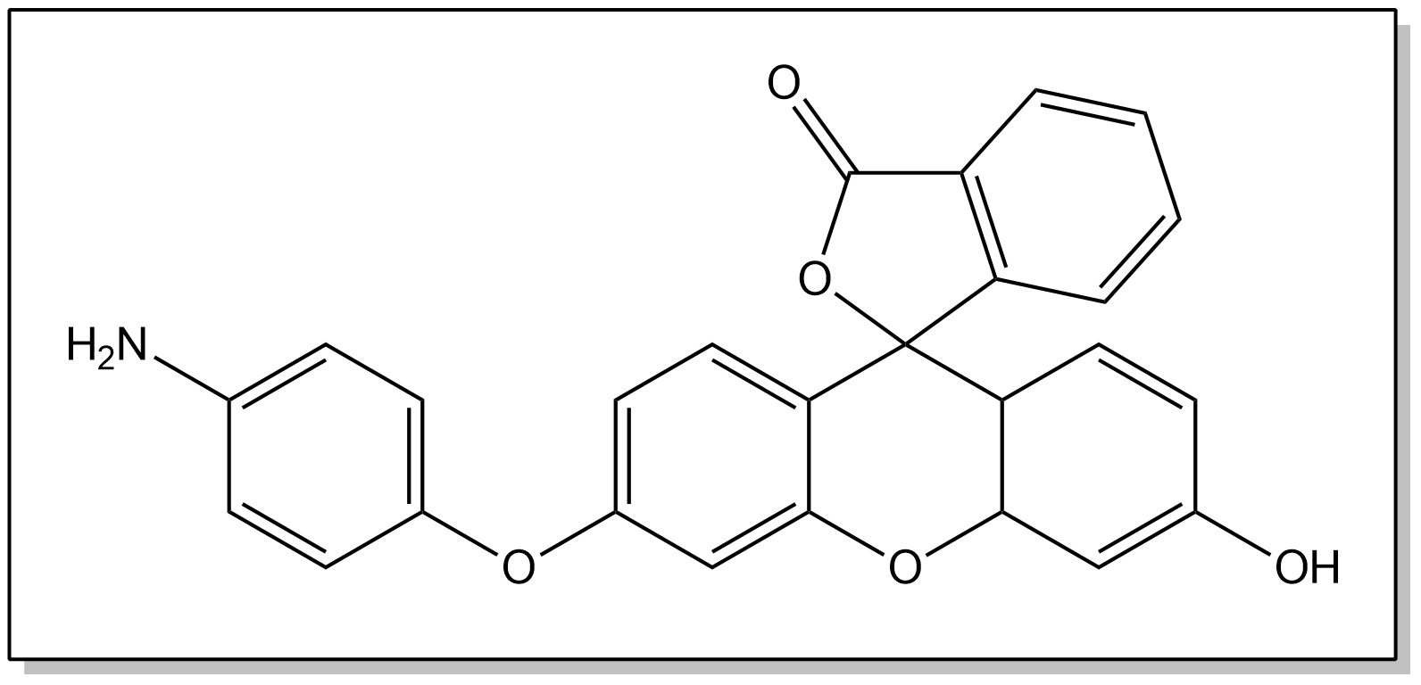 Chemical structure of aminophenyl fluorescein (APF)