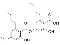 Chemical structure of divaricatic acid