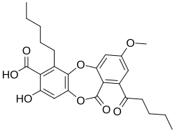 Chemical structure of lobaric acid