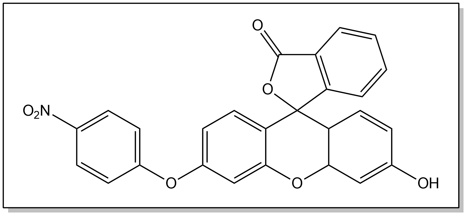 Chemical structure of nitrophenyl fluorescein (NPF)