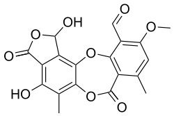 Chemical structure of stictic acid